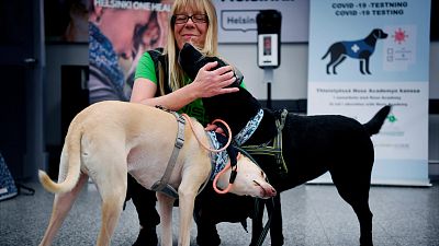 Finlandiya'da havalimanında eğitimli köpekler Covid-19 taraması yapıyor