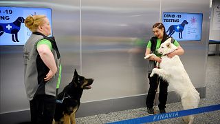 الكلاب في مطار هلسنكي