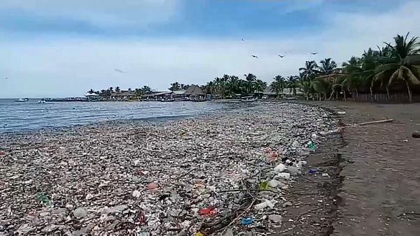 Playa cubierta de basura en la costa de Honduras Playa cubierta de basura en la costa de Honduras