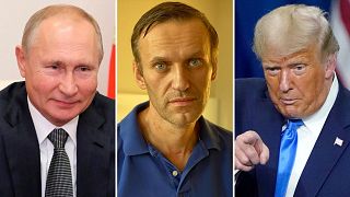 Владимир Путин, Алексей Навальный и Дональд Трамп претендуют на Нобелевскую премию