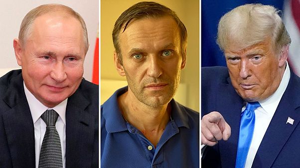 Владимир Путин, Алексей Навальный и Дональд Трамп претендуют на Нобелевскую премию Владимир Путин, Алексей Навальный и Дональд Трамп претендуют на Нобелевскую премию