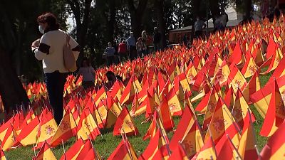 50 тысяч флагов — дань памяти жертвам COVID-19