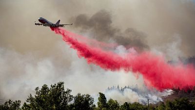Una spettacolare scia rossa nel cielo: un aereo sta gettando un prodotto ritardante sulle fiamme nella Napa Valley. 