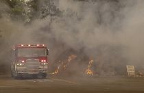 Rekord-Waldbrände wüten in Kalifornien - auch im Weinanbaugebiet Napa Valley