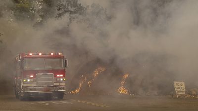 Rekord-Waldbrände wüten in Kalifornien - auch im Weinanbaugebiet Napa Valley