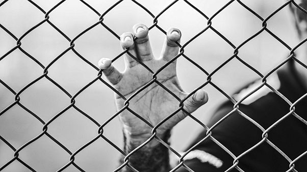 Hand am Drahtzaun Hand am Drahtzaun