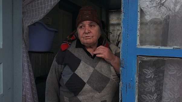 Vuelve la vida a Chernóbil pese al peligro Vuelve la vida a Chernóbil pese al peligro