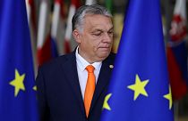 Hungarian officials say the govnerment account was tied to the cabinet of Prime Minister Viktor Orban.