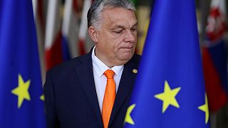 Hungarian officials say the govnerment account was tied to the cabinet of Prime Minister Viktor Orban.