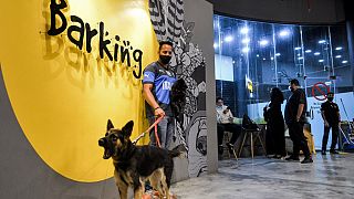 "Barking Lot" cafe in Saudi Arabia's eastern Gulf city of Khobar