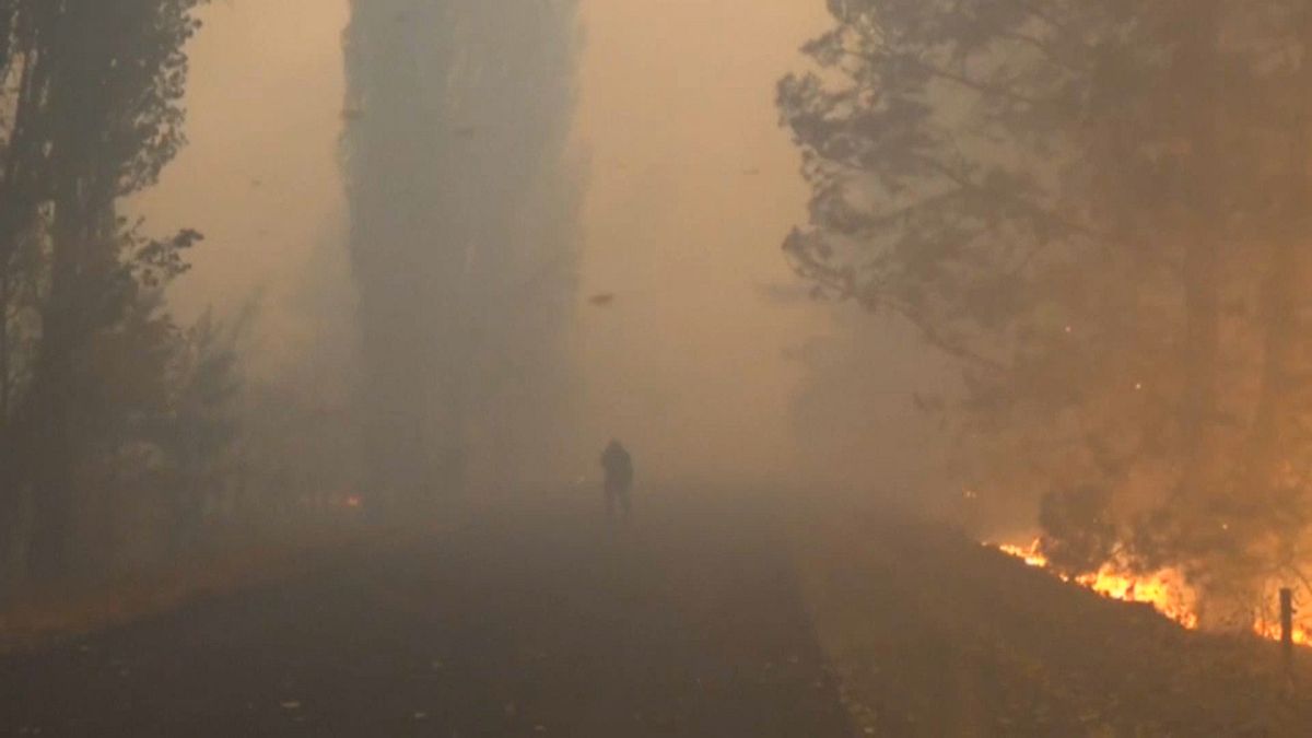На Востоке Украины бушуют лесные пожары