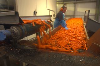 REFRESH - the EU project aimed at drastically reducing food waste