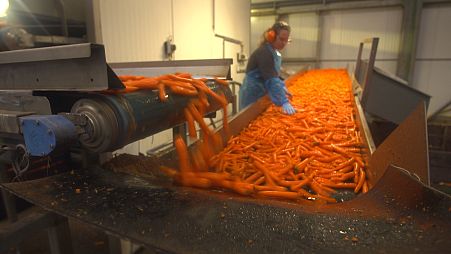 REFRESH - the EU project aimed at drastically reducing food waste