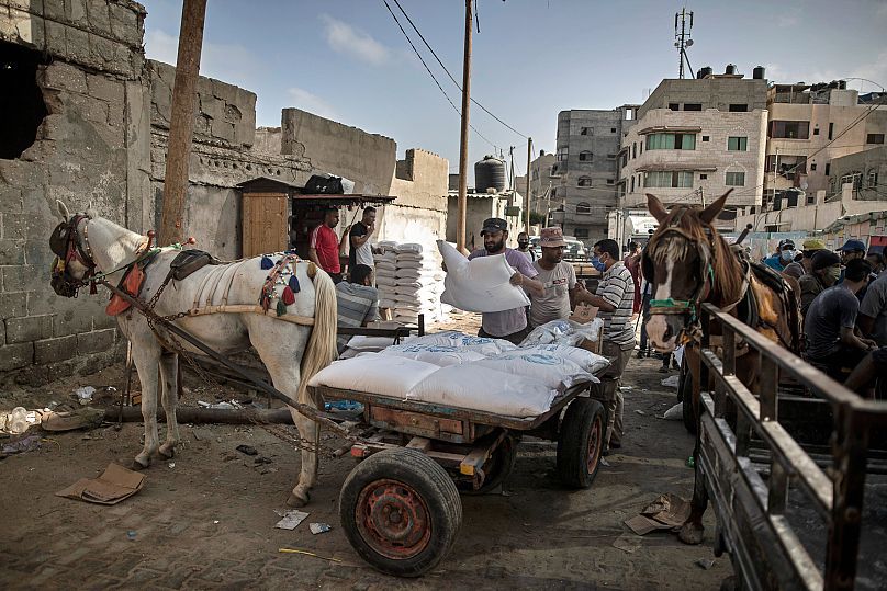 Khalil Hamra/AP Photo