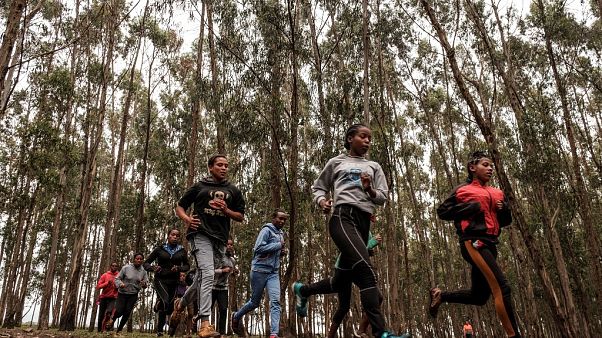 Atletas etíopes voltam a treinar Atletas etíopes voltam a treinar