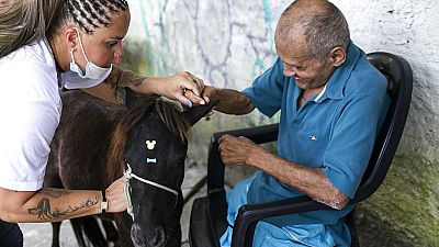 Βραζιλία: Εγκαταλελειμμένα ζώα στα γηροκομεία