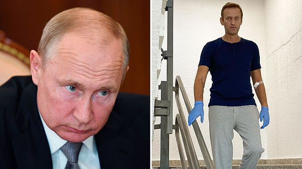 Навальный заявил, что за его отравлением стоит Путин и других версий у него нет Навальный заявил, что за его отравлением стоит Путин и других версий у него нет