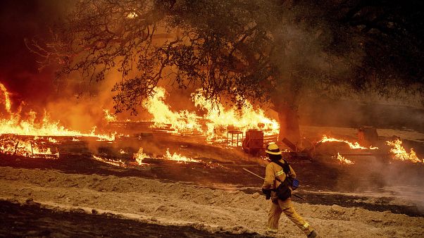 A firefighter passes flames while battling the Glass Fire in a Calistoga, Calif., vineyard Thursday, Oct. 1, 2020. A firefighter passes flames while battling the Glass Fire in a Calistoga, Calif., vineyard Thursday, Oct. 1, 2020.