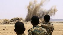 Sudan'da toplana silahların imhası