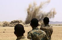 Sudan'da toplana silahların imhası