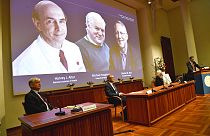 Anuncio de los laureados del Nobel de Medicina de 2020. Harvey J. Alter, a la izquierda en la pantalla, Michael Houghton, en el centro, y Charles M. Rice