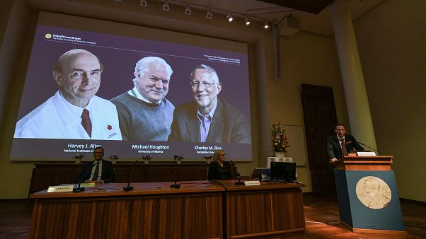 Лауреаты Нобелевской премии по медицине и физиологии - 2020 Лауреаты Нобелевской премии по медицине и физиологии - 2020