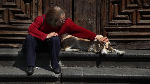 Animais abençoados na Igreja de São Francisco de Assis Animais abençoados na Igreja de São Francisco de Assis
