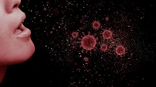 La carica virale è l'espressione numerica della quantità di virus in un dato volume di fluido