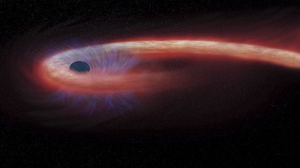 Esta representación artística proporcionada por la NASA muestra una estrella siendo tragada por un agujero negro, y emitiendo una llamarada de rayos X. Esta representación artística proporcionada por la NASA muestra una estrella siendo tragada por un agujero negro, y emitiendo una llamarada de rayos X.