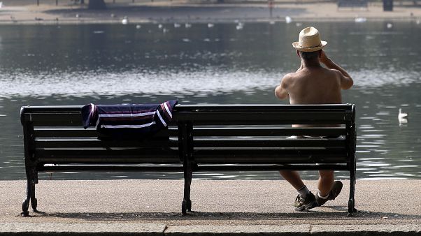 The hottest year on record is currently 2016, but 2020 may surpass it The hottest year on record is currently 2016, but 2020 may surpass it