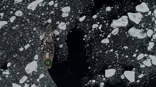 Antarktika'da deniz buzu seviyesi düşüyor