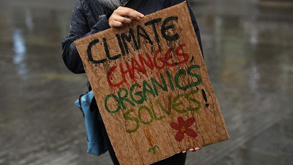 Un appel en faveur du climat Un appel en faveur du climat