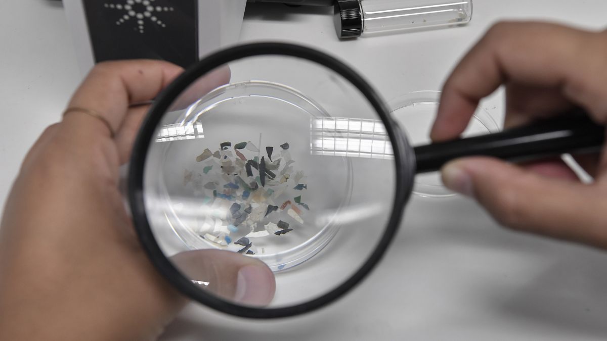 عالم أحياء ينظر بالمجهر على ميكروبلاستيك في المركز اليوناني للبحوث البحرية بالقرب من أثينا. 