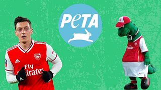 Footballer Mesut Ozil (left) is fighting PETA in the race to sign Gunnersaurus. 