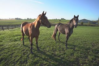 The entrepreneurial exchange that builds business success