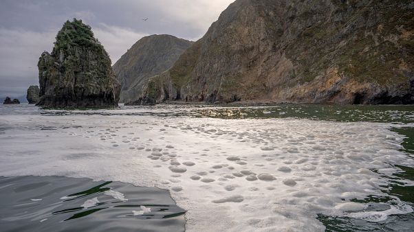 Initial findings from the Investigative Committee indicated that the water had been contaminated by "Industrial oils". Initial findings from the Investigative Committee indicated that the water had been contaminated by "Industrial oils".