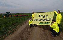 A Greenpeace aktivistái tüntettek a biogazdaság megmaradásáért