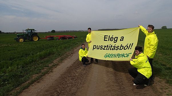 A Greenpeace aktivistái tüntettek a biogazdaság megmaradásáért A Greenpeace aktivistái tüntettek a biogazdaság megmaradásáért