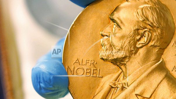 2020 Nobel Barış Ödülü, açlıkla mücadele çabaları nedeniyle Dünya Gıda Programı'na verildi 2020 Nobel Barış Ödülü, açlıkla mücadele çabaları nedeniyle Dünya Gıda Programı'na verildi