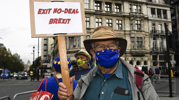 Brexitellenes tüntető Londonban 2020. szeptember 23-án Brexitellenes tüntető Londonban 2020. szeptember 23-án
