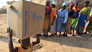 Dünya Gıda Programı Zimbabve'de gıda yardımı dağıtırken