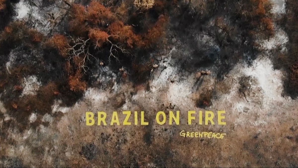 Greenpeace em campanha contra os incêndios na Amazónia