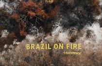Szobrot állított a Greenpeace a brazil elnöknek