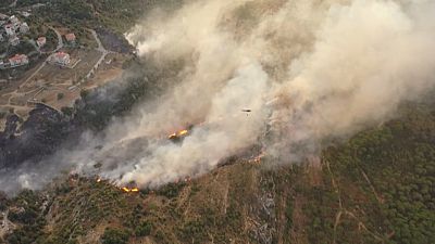 Λίβανος: Κύμα δασικών πυρκαγιών
