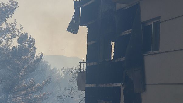 Hatay'da orman yangını Hatay'da orman yangını