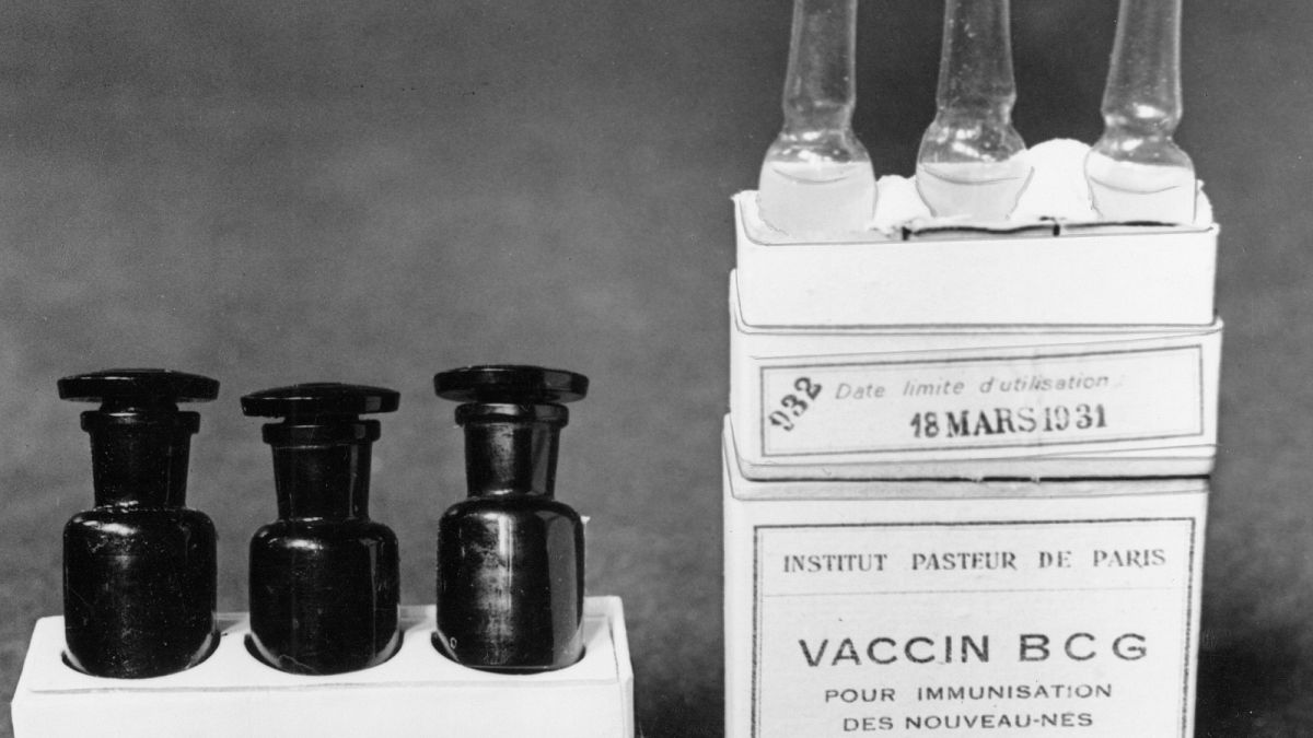 BCG védőoltás 1931-ben