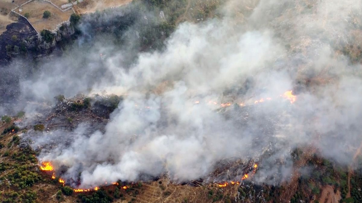 Suriye'de orman yangınları
