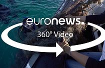 Видео 360: хорватские дайверы навели на дне порядок