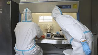  العاملون الصحيون يحللون العينات التي تم جمعها أثناء الاختبار الشامل لفيروس كورونا