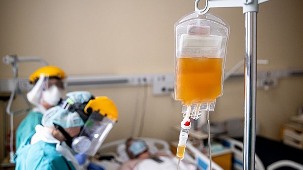 Blood Plasma Blood Plasma